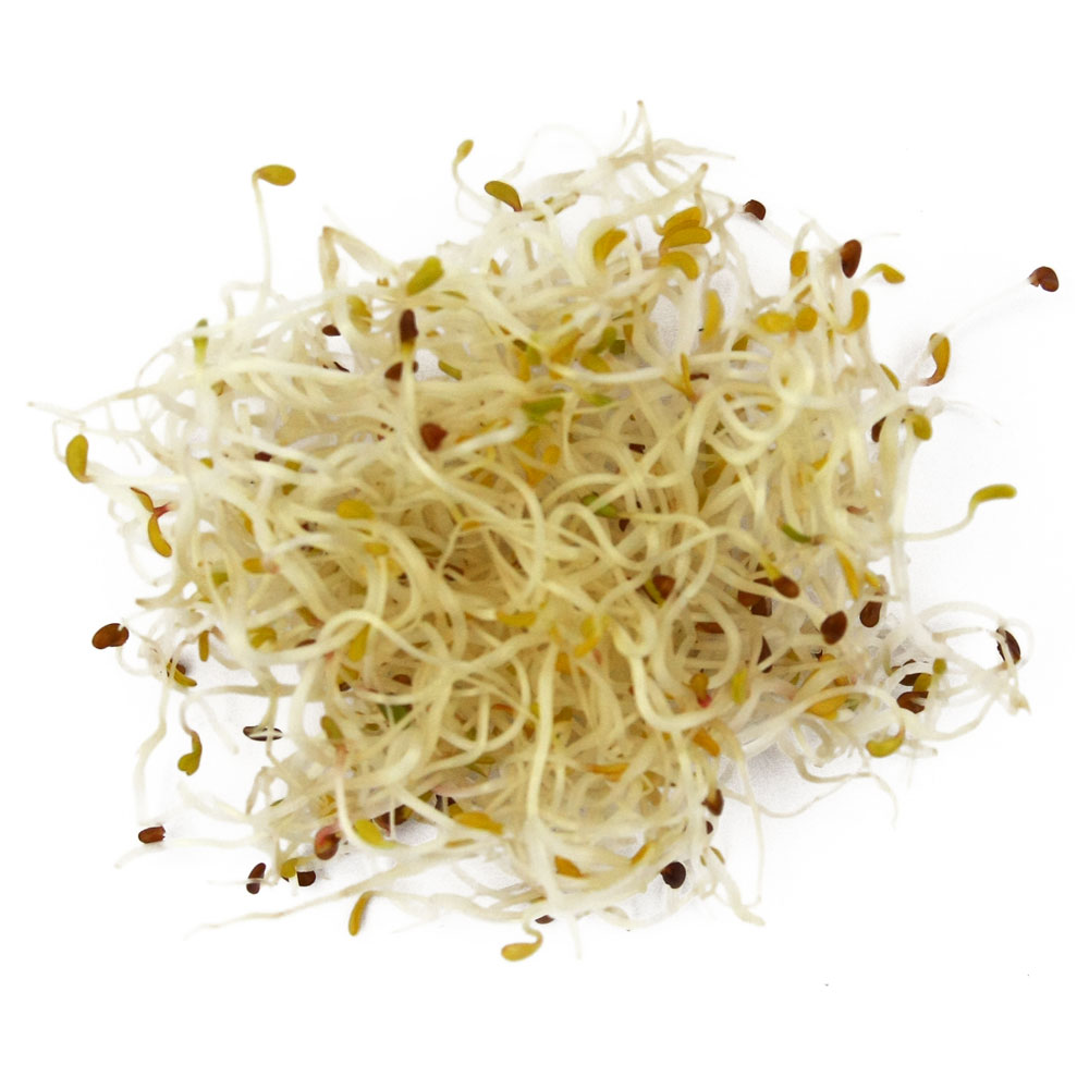 Klice Alfalfa