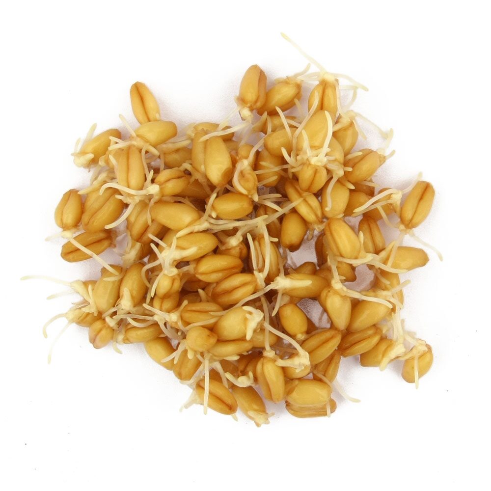 Granola s klicama pšenice