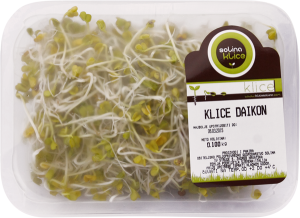 0004-daikon